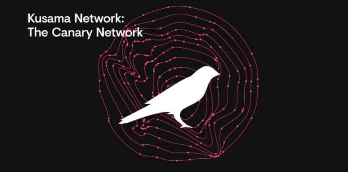 Poster for the Kusama canary network